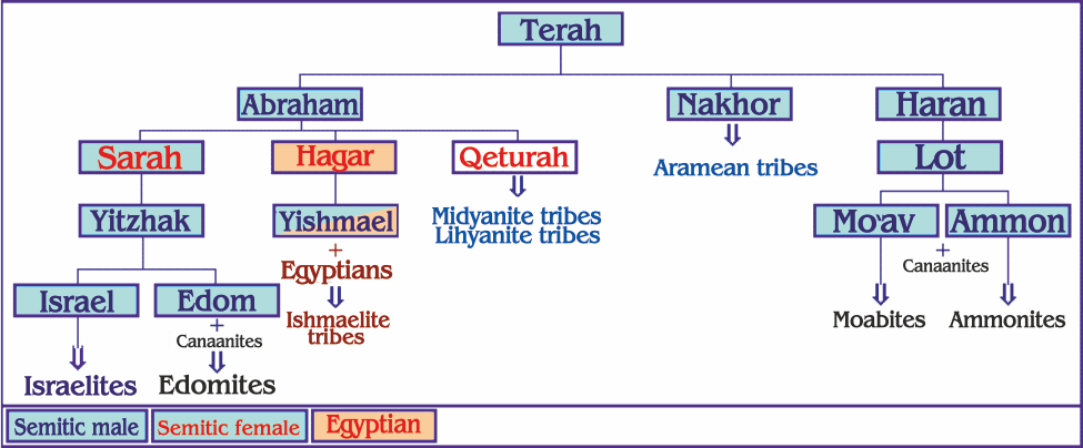 The Following Is A Simplified Outline Of The Common Origin And 